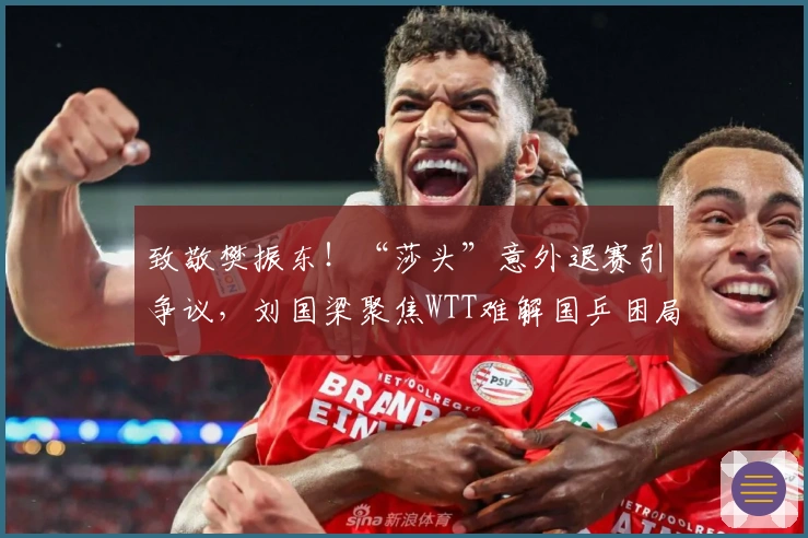 致敬樊振东！“莎头”意外退赛引争议，刘国梁聚焦WTT难解国乒困局