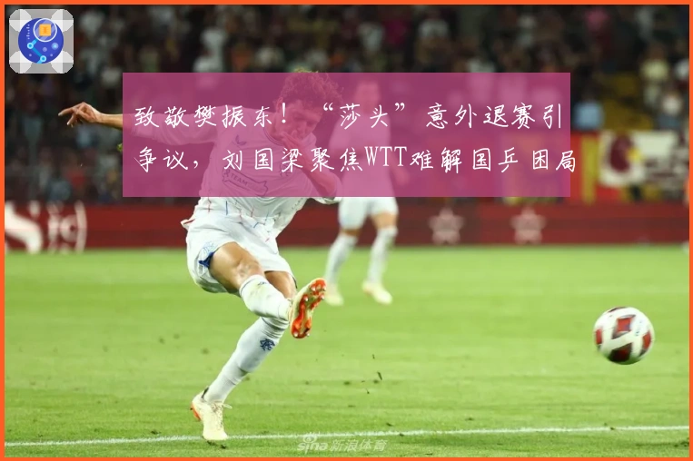 致敬樊振东！“莎头”意外退赛引争议，刘国梁聚焦WTT难解国乒困局