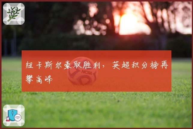 纽卡斯尔豪取胜利，英超积分榜再攀高峰