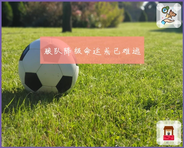 狼队降级命运或已难逃